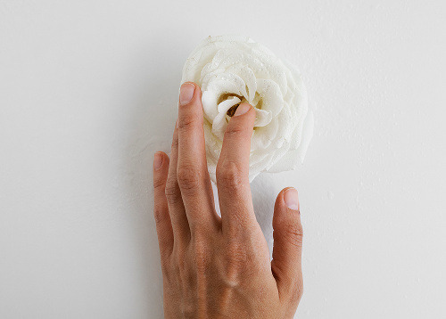 hormunity-candida-protocol-image