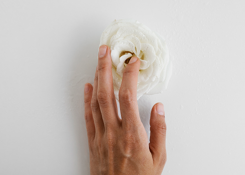 hormunity-candida-protocol-image