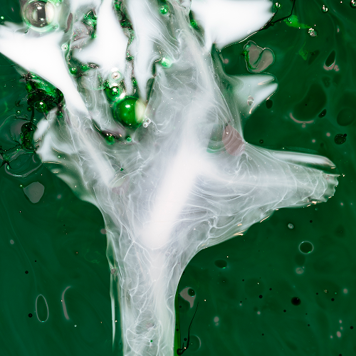 hormunity-liver-detox-protocol-image